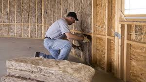  Pine Island, MN Insulation Removal & Installation Pros