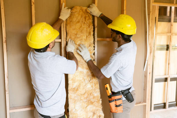 Best Basement Insulation in Pine Island, MN