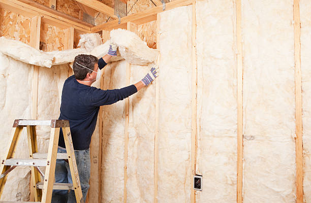 Professional Insulation Removal & Installation in Pine Island, MN